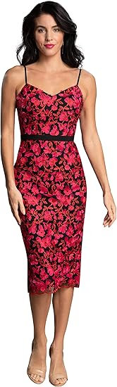 Dress the Population Women's Emma V Neck Embroidered Sleeveless Belted Midi Dress